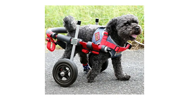 【ふるさと納税】小型犬用二輪車椅子（背丈23～35cm　体重8キロ以下） 【!寄附前に事業者へ相談必要!】　雑貨 日用品