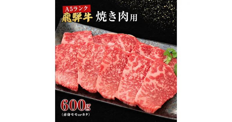 【ふるさと納税】牛肉 飛騨牛 焼き肉 セット 赤身 モモ 又は カタ 600g 黒毛和牛 A5 美味しい お肉 牛 肉 和牛 焼肉 BBQ バーベキュー 【岐阜県池田町】　 岐阜県池田町