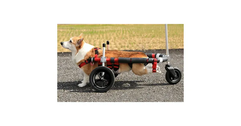 【ふるさと納税】中型犬用三輪車椅子（背丈33～65cm　体重22キロ以下） 【!寄附前に事業者へ相談必要!】　雑貨 日用品