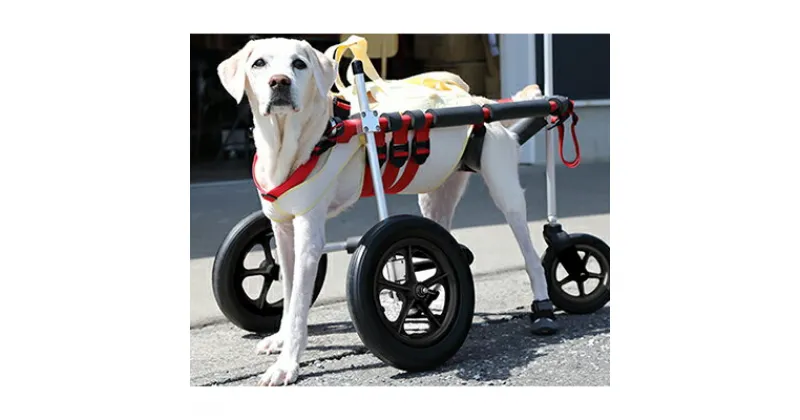 【ふるさと納税】大型犬用三輪車椅子（背丈50～75cm　体重40キロ以下） 【!寄附前に事業者へ相談必要!】　雑貨 日用品