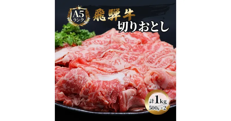 【ふるさと納税】飛騨牛 牛肉 切り落とし 500g×2 計1kg A5 和牛　 焼肉 もも肉 モモ バラ カルビ 牛 肉 お肉 ブランド和牛 　お届け：※12月16日～1月10日は出荷出来ませんのでご注意下さい。