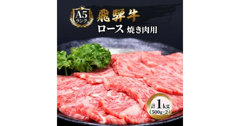 【ふるさと納税】ふるさと納税　飛騨牛 牛肉 焼肉 ロース 500g×2 計1kg A5 和牛　池田町　お届け：※12/13～1/10は出荷できませんのご注意ください。