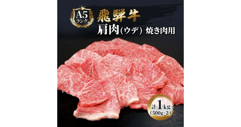 【ふるさと納税】ふるさと納税　飛騨牛 牛肉 焼肉 肩肉 (ウデ) 500g×2 計1kg A5 和牛　池田町　お届け：※12月16日～1月10日は出荷出来ませんのでご注意下さい。