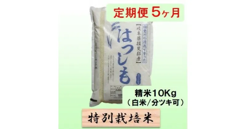 【ふるさと納税】特別栽培米★[定期便] 5カ月★毎月 精米10kg（白米/7分/5分ツキ可）【ハツシモ】　玄米は別に出品　定期便・ 米 お米 令和5年産 幻のお米 大粒 アッサリ お寿司 丼物 炒め物 安心 安全 美味しい 　お届け：2024年11月上旬～