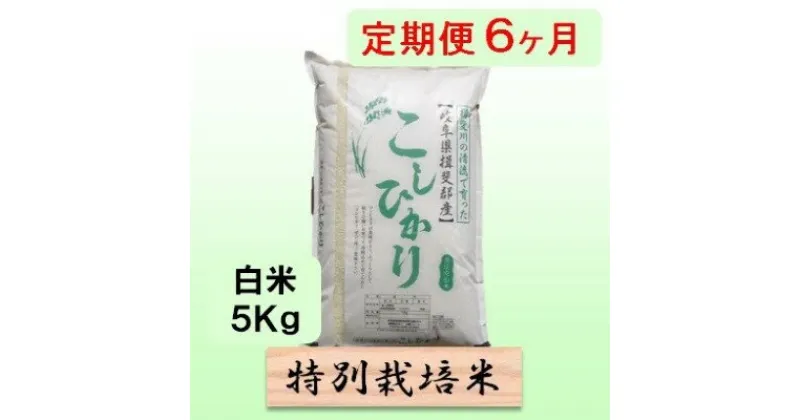 【ふるさと納税】特別栽培米★[定期便] 6カ月★毎月 白米5kg 【コシヒカリ】　定期便・ 米 お米 令和5年産 王様 モチモチ 艶 食感 バランス 安心 安全 美味しい 　お届け：2024年10月上旬～