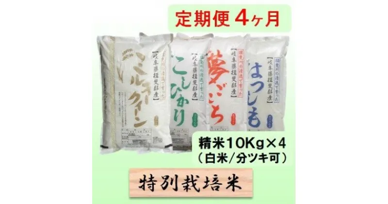 【ふるさと納税】特別栽培米★[定期便] 4カ月★毎月 精米10kg（白米/7分/5分ツキ可）【ミルキークイーン・コシヒカリ・夢ごこち・ハツシモ】　玄米は別に出品　定期便・ お米 セット 糖質 美味しい 艶 　お届け：2024年10月上旬～