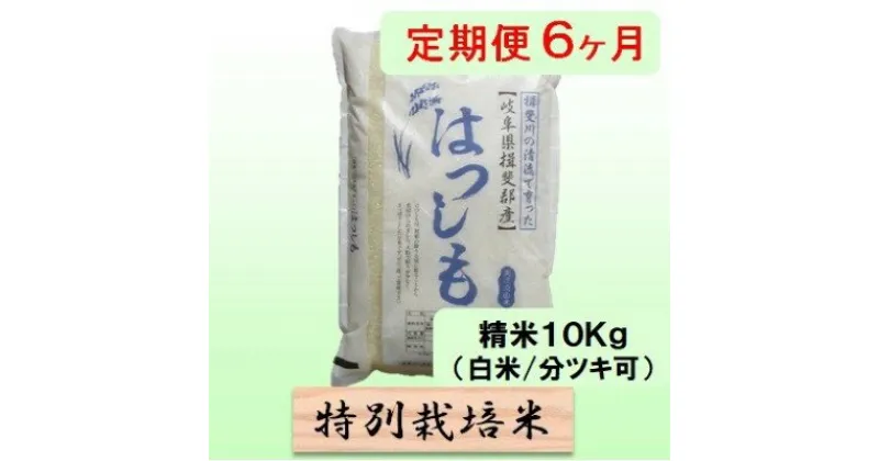 【ふるさと納税】特別栽培米★[定期便] 6カ月★毎月 精米10kg（白米/7分/5分ツキ可）【ハツシモ】　玄米は別に出品　定期便・ 米 お米 令和5年産 幻のお米 大粒 アッサリ お寿司 丼物 炒め物 安心 安全 美味しい 　お届け：2024年11月上旬～