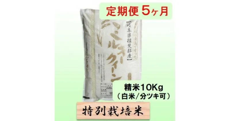 【ふるさと納税】特別栽培米★[定期便] 5カ月★毎月 精米10kg（白米/7分/5分ツキ可）【ミルキークイーン】　玄米は別に出品　定期便・ 米 お米 令和5年産 低アミロース モチモチ お弁当 おにぎり 安心 安全 美味しい 糖質 　お届け：2024年10月上旬～