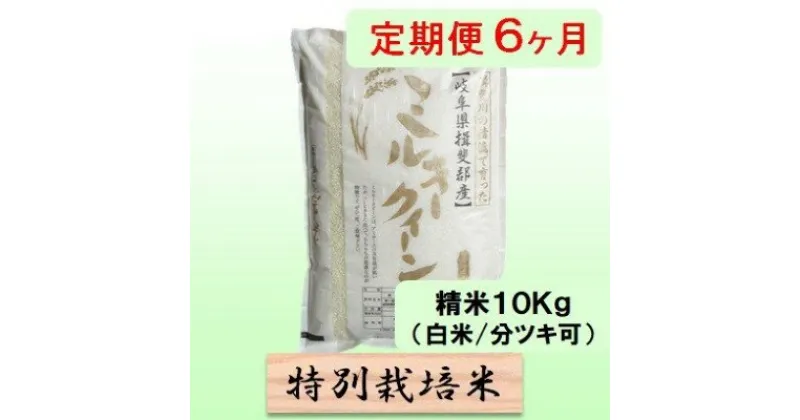 【ふるさと納税】特別栽培米★[定期便] 6カ月★毎月 精米10kg（白米/7分/5分ツキ可）【ミルキークイーン】　玄米は別に出品　定期便・ 米 お米 令和5年産 低アミロース モチモチ お弁当 おにぎり 安心 安全 美味しい 糖質 　お届け：2024年10月上旬～