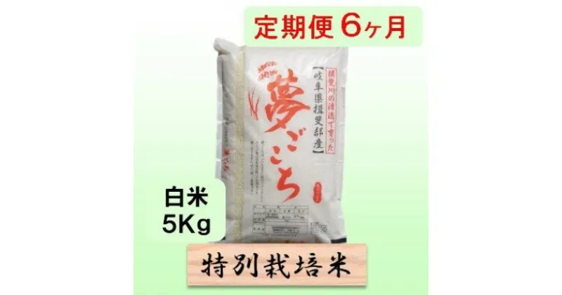 【ふるさと納税】特別栽培米★[定期便] 6カ月★毎月 白米5kg 【夢ごこち】　定期便・ 米 お米 令和5年産 低アミロース モチモチ お弁当 おにぎり 安心 安全 美味しい 糖質 　お届け：2024年10月上旬～