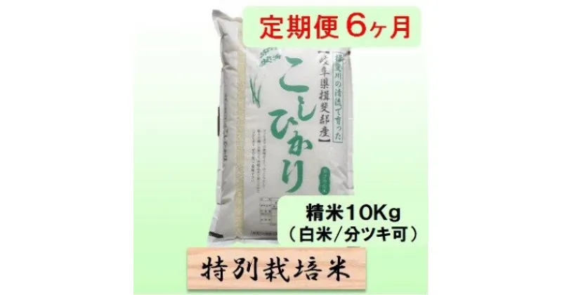 【ふるさと納税】特別栽培米★[定期便] 6カ月★毎月 精米10kg（白米/7分/5分ツキ可）【コシヒカリ】　玄米は別に出品　定期便・ 米 お米 令和5年産 王様 モチモチ 艶 食感 バランス 安心 安全 美味しい 　お届け：2024年10月上旬～