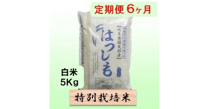 【ふるさと納税】特別栽培米★[定期便] 6カ月★毎月 白米5kg 【ハツシモ】　定期便・ 米 お米 令和5年産 幻のお米 大粒 アッサリ お寿司 丼物 炒め物 安心 安全 美味しい 　お届け：2024年11月上旬～