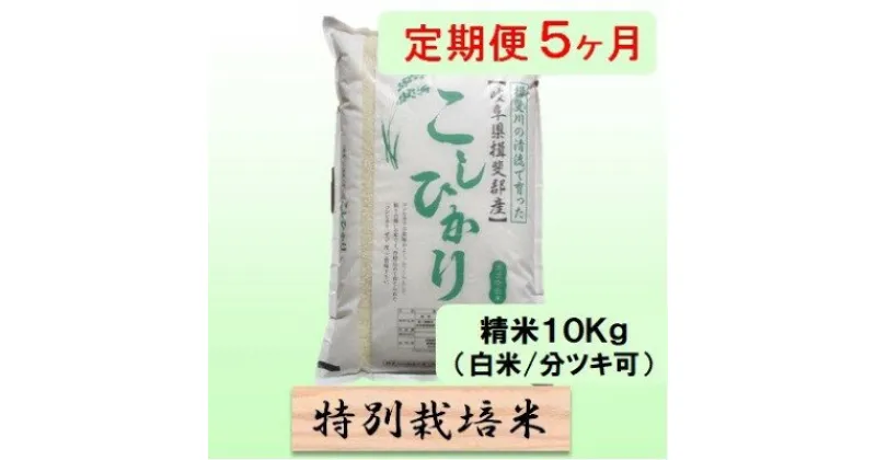 【ふるさと納税】特別栽培米★[定期便] 5カ月★毎月 精米10kg（白米/7分/5分ツキ可）【コシヒカリ】　玄米は別に出品　定期便・ 米 お米 令和5年産 王様 モチモチ 艶 食感 バランス 安心 安全 美味しい 　お届け：2024年10月上旬～