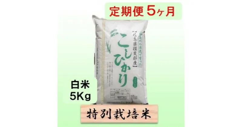 【ふるさと納税】特別栽培米★[定期便] 5カ月★毎月 白米5kg 【コシヒカリ】　定期便・ 米 お米 令和5年産 王様 モチモチ 艶 食感 バランス 安心 安全 美味しい 　お届け：2024年10月上旬～