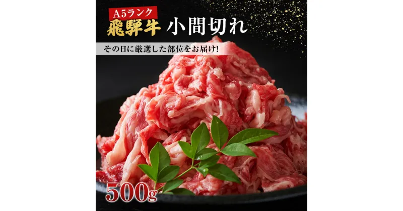 【ふるさと納税】牛肉 飛騨牛 小間切れ 500g 黒毛和牛 A5 美味しい お肉 牛 肉 和牛 肉じゃが 牛丼 【岐阜県池田町】　 岐阜県池田町