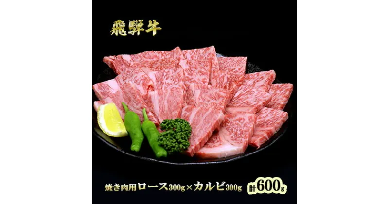 【ふるさと納税】ふるさと納税　飛騨牛 ロース＆カルビ 焼肉 セット 計600g A5 和牛 牛肉 お肉 ロース カルビ 食べ比べ 焼肉用 バーベキュー BBQ　池田町