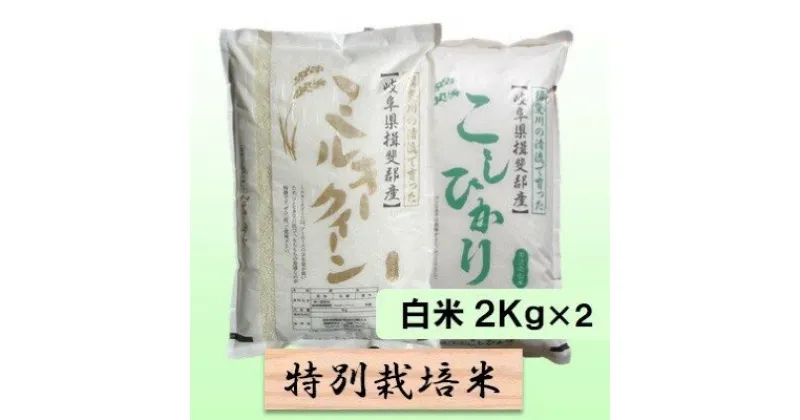 【ふるさと納税】特別栽培米★白米4kg 【コシヒカリ・ミルキークイーン】　 お米 ブランド米 精米 ご飯 おにぎり お米の王様 モチモチ 低アミロース米 　お届け：2024年10月上旬～2025年9月下旬