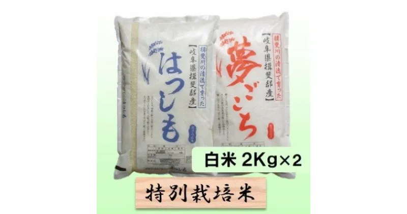 【ふるさと納税】特別栽培米★白米4kg 【夢ごこち・ハツシモ】　 お米 ブランド米 銘柄米 精米 ご飯 おにぎり モッチリ 冷めても美味しい 大粒 アッサリ 　お届け：2024年11月上旬～2025年10月下旬