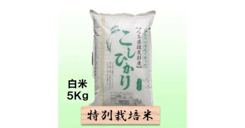 【ふるさと納税】特別栽培米★白米5kg 【コシヒカリ】 玄米は別に出品　 お米 ブランド米 銘柄米 精米 ご飯 おにぎり お米の王様 バランス 　お届け：2024年10月上旬～2025年9月下旬