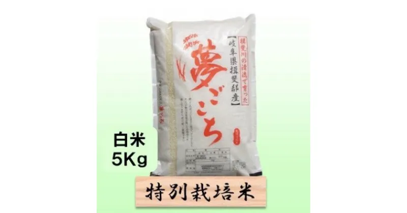 【ふるさと納税】特別栽培米★白米5kg 【夢ごこち】 玄米は別に出品　 お米 ブランド米 銘柄米 精米 ご飯 おにぎり モッチリ 甘い 低アミロース米 　お届け：2024年10月上旬～2025年9月下旬