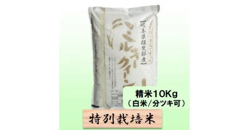 【ふるさと納税】特別栽培米★精米10kg（白米/5分/7分ツキ可）【ミルキークイーン】 玄米は別に出品　 お米 ブランド米 銘柄米 ご飯 モチモチ 低アミロース米 冷めても美味しい 　お届け：2024年10月上旬～2025年9月下旬