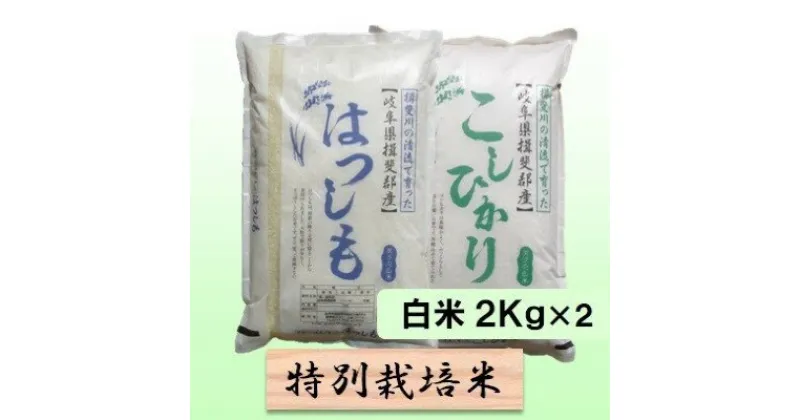 【ふるさと納税】特別栽培米★白米4kg 【ハツシモ・コシヒカリ】　 お米 ブランド米 銘柄米 精米 ご飯 おにぎり お米の王様 大粒 アッサリ 　お届け：2024年11月上旬～2025年10月下旬