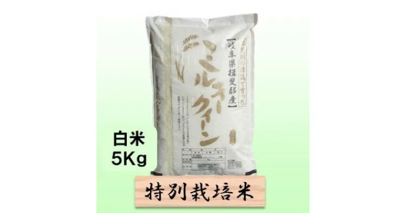 【ふるさと納税】特別栽培米★白米5kg 【ミルキークイーン】 玄米は別に出品　 お米 ブランド米 銘柄米 精米 ご飯 おにぎり モチモチ 低アミロース米 冷めても美味しい 　お届け：2024年10月上旬～2025年9月下旬