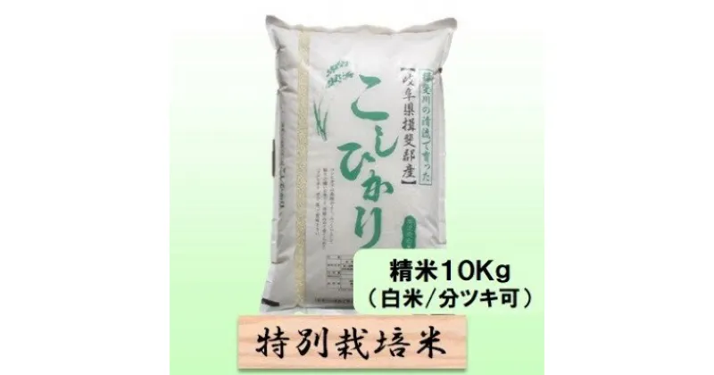 【ふるさと納税】特別栽培米★精米10kg（白米/5分/7分ツキ可）【コシヒカリ】 玄米は別に出品　 お米 ブランド米 銘柄米 ご飯 バランスが良い お米の王様 　お届け：2024年10月上旬～2025年9月下旬