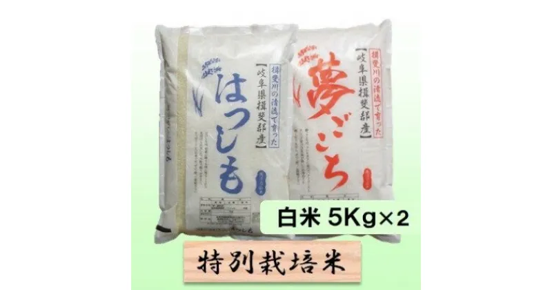 【ふるさと納税】特別栽培米★白米10kg 【夢ごこち・ハツシモ】各5Kg　 お米 ブランド米 銘柄米 ご飯 モッチリ 冷めても美味しい 大粒 アッサリ 　お届け：2024年11月上旬～2025年10月下旬