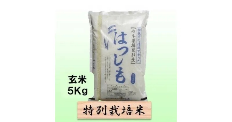 【ふるさと納税】特別栽培米★玄米5kg 【ハツシモ】　 お米 ブランド米 銘柄米 ご飯 おにぎり アッサリ 幻のお米 大粒 　お届け：2024年11月上旬～2025年10月下旬