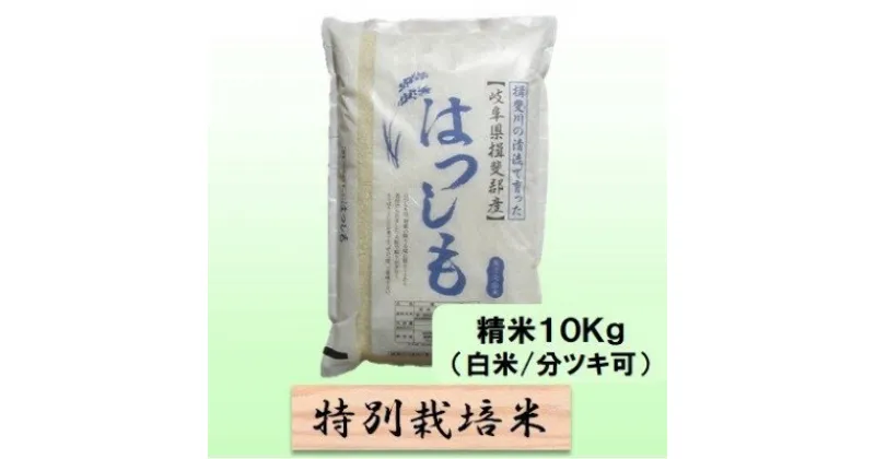 【ふるさと納税】特別栽培米★精米10kg（白米/5分/7分ツキ可）【ハツシモ】 玄米は別に出品　　 お米 ブランド米 銘柄米 ご飯 アッサリ 幻のお米 大粒 　お届け：2024年11月上旬～2025年10月下旬