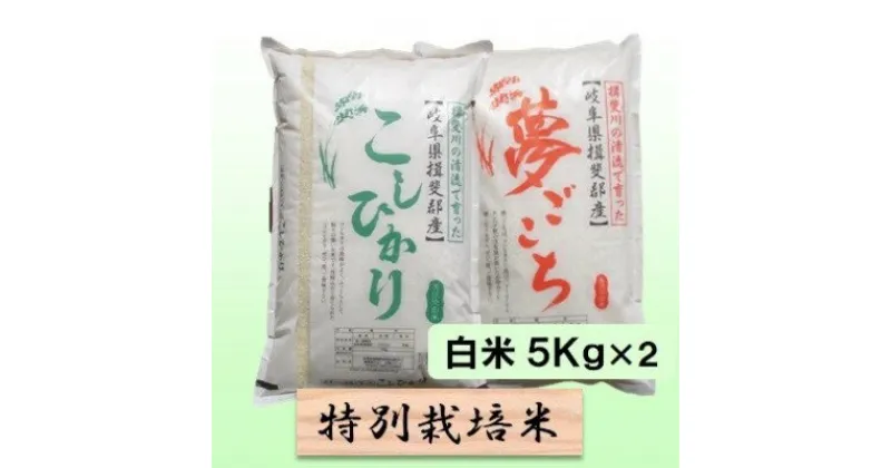 【ふるさと納税】特別栽培米★白米10kg 【コシヒカリ・夢ごこち】各5Kg　 お米 ブランド米 銘柄米 ご飯 おにぎり お米の王様 モッチリ 冷めても美味しい 低アミロース米 　お届け：2024年10月上旬～2025年9月下旬