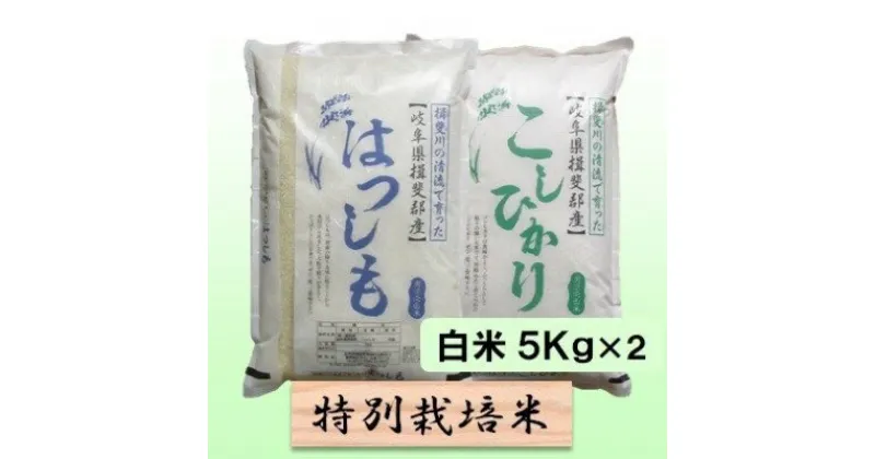 【ふるさと納税】特別栽培米★白米10kg 【ハツシモ・コシヒカリ】各5Kg　 お米 ブランド米 銘柄米 ご飯 お米の王様 大粒 アッサリ バランス 　お届け：2024年11月上旬～2025年10月下旬