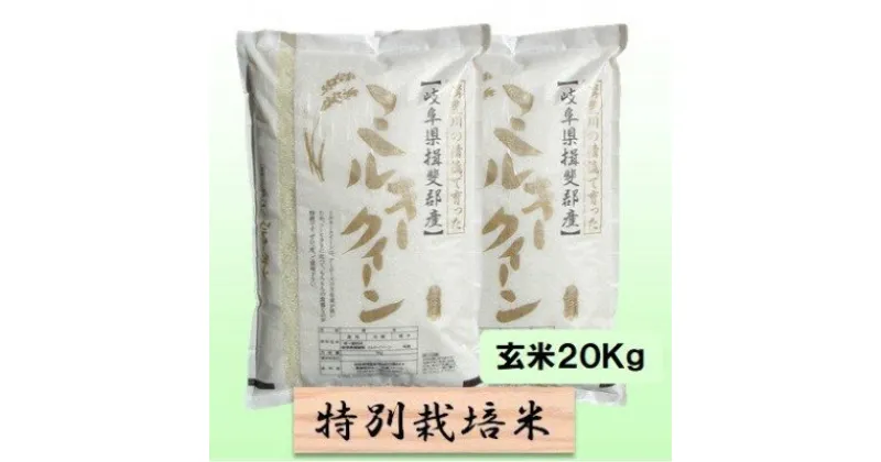 【ふるさと納税】特別栽培米★玄米20kg【ミルキークイーン】10Kg×2　 お米 ブランド米 銘柄米 ご飯 モチモチ 低アミロース米 冷めても美味しい 　お届け：2024年10月上旬～2025年9月下旬