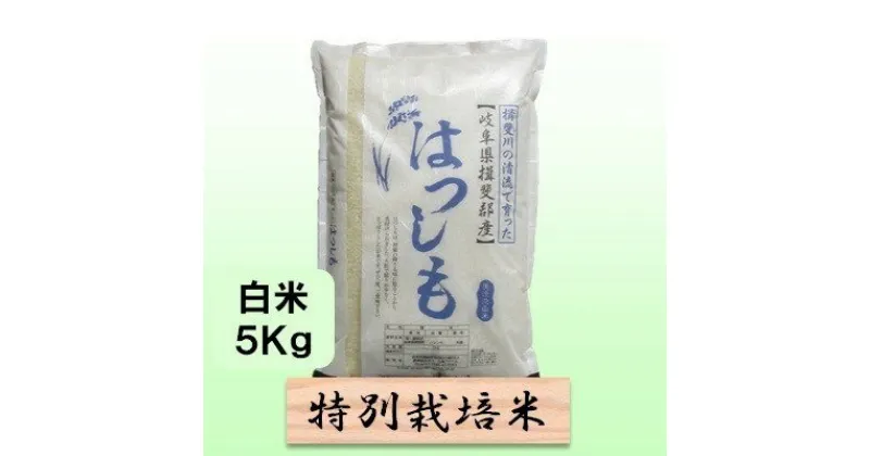 【ふるさと納税】特別栽培米★白米5kg 【ハツシモ】 玄米は別に出品　 お米 ブランド米 銘柄米 精米 ご飯 おにぎり アッサリ 幻のお米 大粒 　お届け：2024年11月上旬～2025年10月下旬