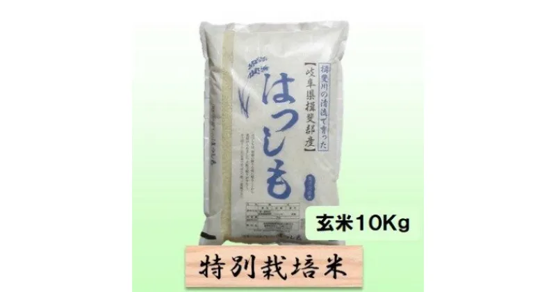 【ふるさと納税】特別栽培米★玄米10kg 【ハツシモ】　 お米 ブランド米 銘柄米 ご飯 おにぎり アッサリ 幻のお米 大粒 　お届け：2024年11月上旬～2025年10月下旬