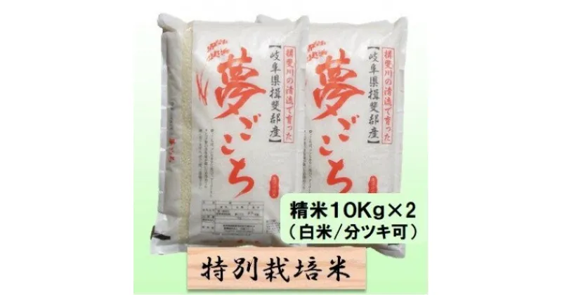 【ふるさと納税】特別栽培米★精米20kg（白米/5分/7分ツキ可）【夢ごこち】 玄米は別に出品　 お米 ブランド米 銘柄米 ご飯 モッチリ 甘い 低アミロース米 冷めても美味しい 　お届け：2024年10月上旬～2025年9月下旬