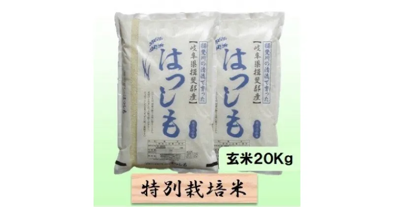 【ふるさと納税】特別栽培米★玄米20kg【ハツシモ】10Kg×2　 お米 ブランド米 銘柄米 ご飯 アッサリ 幻のお米 大粒 　お届け：2024年11月上旬～2025年10月下旬