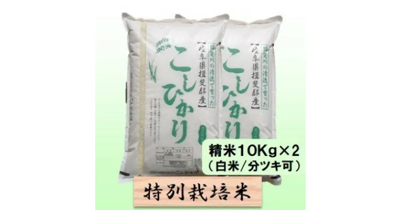 【ふるさと納税】特別栽培米★精米20kg（白米/5分/7分ツキ可）【コシヒカリ】 玄米は別に出品　 お米 ブランド米 銘柄米 ご飯 バランスが良い お米の王様 　お届け：2024年10月上旬～2025年9月下旬