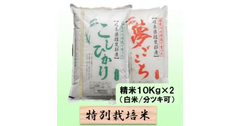 【ふるさと納税】特別栽培米★精米20kg（白米/5分/7分ツキ可）【コシヒカリ・夢ごこち】 玄米は別に出品　 お米 ブランド米 銘柄米 ご飯 お米の王様 モッチリ 冷めても美味しい 低アミロース米 　お届け：2024年10月上旬～2025年9月下旬