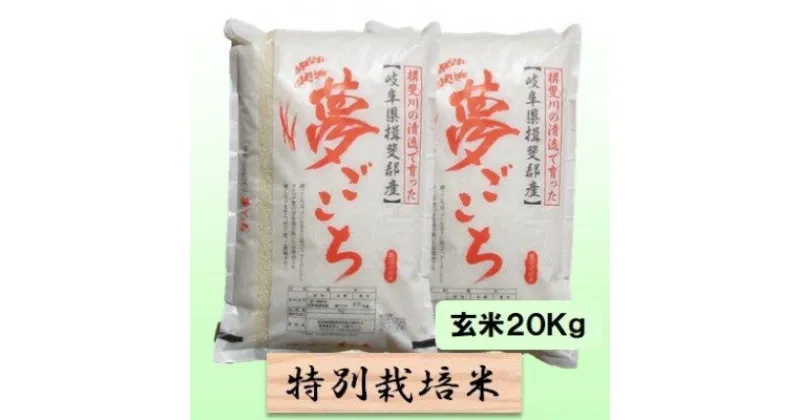 【ふるさと納税】特別栽培米★玄米20kg【夢ごこち】10Kg×2　 お米 ブランド米 銘柄米 ご飯 モッチリ甘い 低アミロース米 冷めても美味しい 　お届け：2024年10月上旬～2025年9月下旬