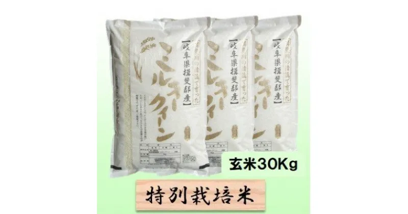 【ふるさと納税】特別栽培米★玄米30kg【ミルキークイーン】10Kg×3　 お米 ブランド米 銘柄米 ご飯 モチモチ 低アミロース米 冷めても美味しい 　お届け：2024年10月上旬～2025年9月下旬