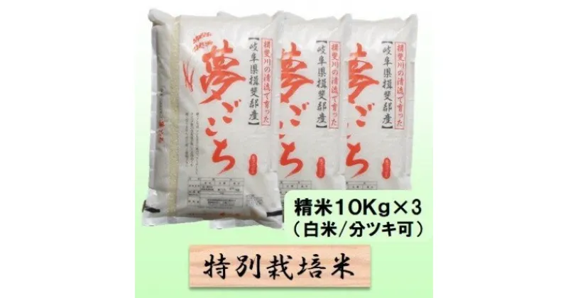 【ふるさと納税】特別栽培米★精米30kg（白米/5分/7分ツキ可）【夢ごこち】 玄米は別に出品　 お米 ブランド米 銘柄米 ご飯 モッチリ 甘い 低アミロース米 冷めても美味しい 　お届け：2024年10月上旬～2025年9月下旬