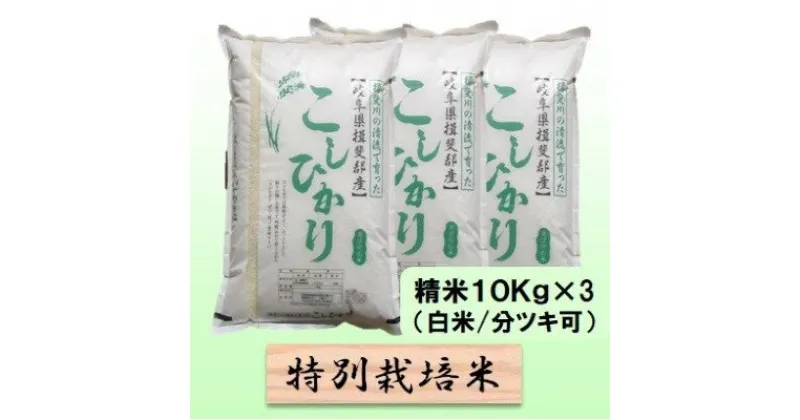 【ふるさと納税】特別栽培米★精米30kg（白米/5分/7分ツキ可）【コシヒカリ】 玄米は別に出品　 お米 ブランド米 銘柄米 ご飯 バランスが良い お米の王様 　お届け：2024年10月上旬～2025年9月下旬