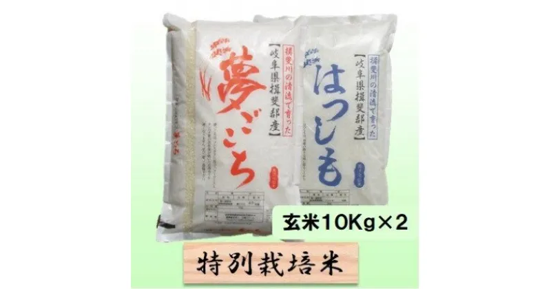 【ふるさと納税】特別栽培米★玄米20kg【夢ごこち・ハツシモ】各10Kg　 お米 ブランド米 銘柄米 ご飯 モッチリ 冷めても美味しい 低アミロース米 大粒 アッサリ 　お届け：2024年11月上旬～2025年10月下旬