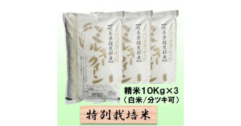 【ふるさと納税】特別栽培米★精米30kg（白米/5分/7分ツキ可）【ミルキークイーン】 玄米は別に出品　 お米 ブランド米 銘柄米 ご飯 モチモチ 低アミロース米 　お届け：2024年10月上旬～2025年9月下旬