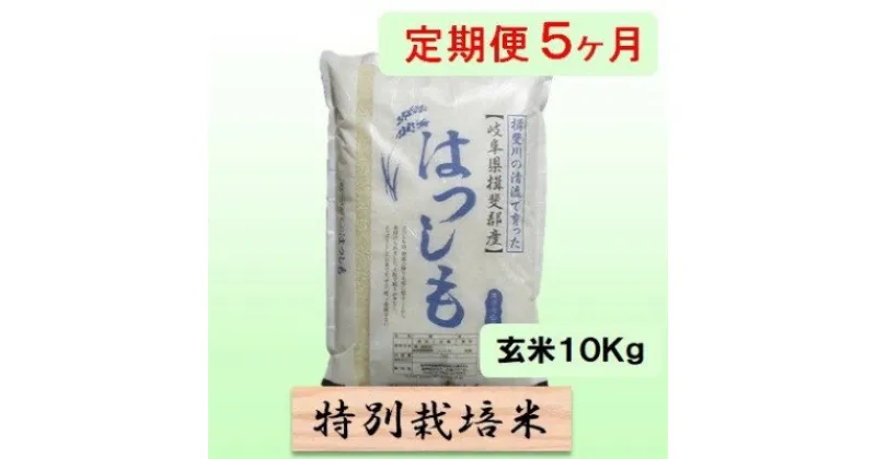 【ふるさと納税】特別栽培米★[定期便] 5カ月★毎月 玄米10kg【ハツシモ】　定期便・ お米 ブランド米 銘柄米 ご飯 アッサリ 幻のお米 大粒 　お届け：2024年11月上旬～2025年10月下旬