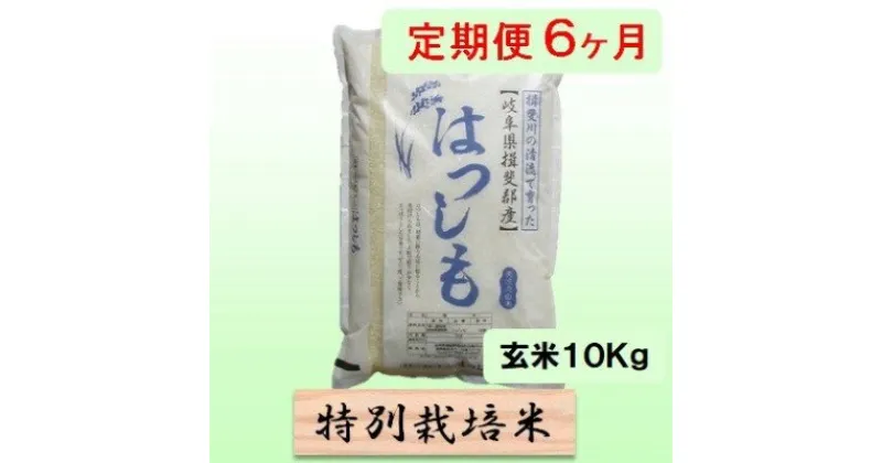 【ふるさと納税】特別栽培米★[定期便] 6カ月★毎月 玄米10kg【ハツシモ】　定期便・ お米 ブランド米 銘柄米 ご飯 アッサリ 幻のお米 大粒 　お届け：2024年11月上旬～2025年11月下旬