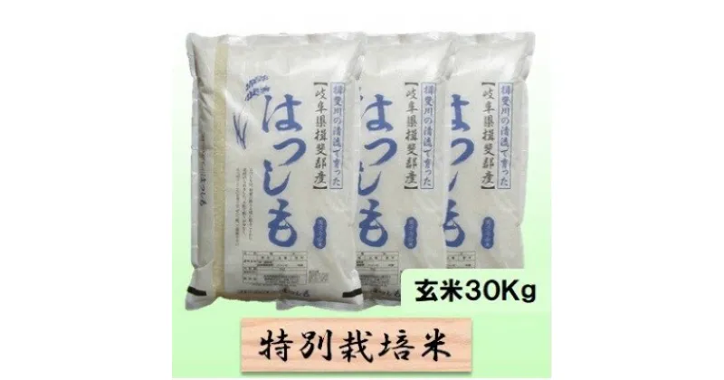 【ふるさと納税】特別栽培米★玄米30kg【ハツシモ】10Kg×3　 お米 ブランド米 銘柄米 ご飯 アッサリ 幻のお米 大粒 　お届け：2024年11月上旬～2025年10月下旬