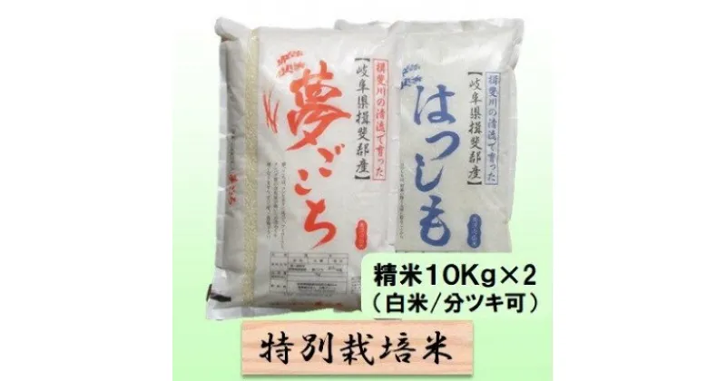 【ふるさと納税】特別栽培米★精米20kg（白米/5分/7分ツキ可）【夢ごこち・ハツシモ】 玄米は別に出品　 お米 ブランド米 銘柄米 ご飯 モッチリ 冷めても美味しい 低アミロース米 大粒 アッサリ 　お届け：2024年11月上旬～2025年10月下旬